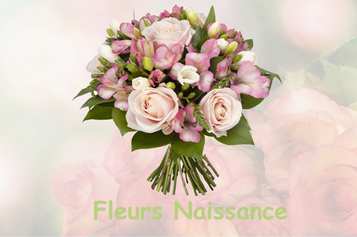 fleurs naissance POUDENX